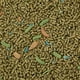 thumbnail image 5 of Alimento Para Mascotas Forti Diet Pro Health Para Cobayas De 2 27 Kg, 5 of 6