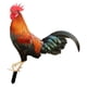 thumbnail image 3 of Gallo Animal Estatua Ornamento Jardín Estacas Escultura De Pie Para Patio Color B, 3 of 5