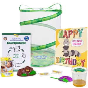 Kit De Cultivo De Mariposas Insect Lore Birthday Con Orugas Vivas