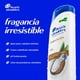 thumbnail image 2 of Shampoo Head & Shoulders Hidratación Aceite de Coco, 375 ml, 2 of 6