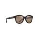 thumbnail image 2 of Gafas de sol Maui Jim Ihupani AF Polarizadas de talla grande, 2 of 7