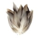 thumbnail image 4 of 50 Uds. de plumas para atado de moscas, plumas para atado de moscas, Material de cola de ala, proveedor de atado de moscas para decoración, sombrero d, 4 of 5