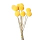 thumbnail image 2 of 10 Uds. De Flores Secas, Regalo, Decoración Bohemia Para Decoración De Oficina, Decoraciones De Otoño Para El Hogar, 1,5 A 2,5 Cm, 2 of 2
