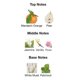 thumbnail image 3 of Perfume Montale Paris Diamond Greedy, 100 ml, 3 of 5