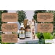 thumbnail image 2 of Sérum para el cuidado de la piel facial Advanced Clinicals, aceite de cúrcuma, 50 ml, 2 of 9