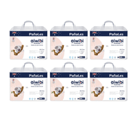 Pack 6 Pañales Aiwibi Premium Talla M