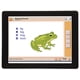 thumbnail image 5 of Paquete de clases de primer grado del juego Curriculum Mastery Game NewPath Learning, 5 of 6