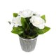 thumbnail image 1 of Planta Rosa Artificial Blanca 20cm, 1 of 2