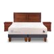 thumbnail image 1 of Cama Europea Cocopedic 2 Plaza Base Dividida, 1 of 10