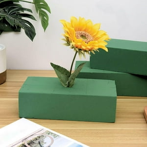 Homeessentials - Espuma Floral Para Arreglos Naturales