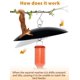 thumbnail image 2 of Andergi Protector contra la lluvia para comedero de colibríes de 33 cm – Pack de 3 (Negro), 2 of 8