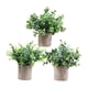 thumbnail image 4 of 3 Piezas De Pequeñas Plantas Falsas En Maceta Para Estante, Sala De Estar, Baño, Estilo E, 4 of 5