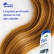 thumbnail image 5 of Shampoo Head & Shoulders Purificación Capilar Carbón Activado, 5 of 6