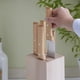 thumbnail image 5 of Juego de cuchillos de cocina OPINEL Parallele de 5 piezas en madera de haya, 5 of 9