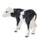 thumbnail image 4 of Simulación Granja Animal Figura Coleccionables Ni?os Juguetes Punto Negro Becerro, 4 of 5