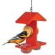 thumbnail image 1 of Comedero Para Aves Citrus Sampler De Doble Cara 0 4 Cuartos, 1 of 9