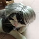 thumbnail image 5 of Pelucas Para Disfraces De Perros, Pelucas Para Gatos, Sombreros Para Perros, Pelucas Para Cosplay De Mascotas De Halloween Para Cachorros, 5 of 7
