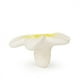 thumbnail image 1 of Mordedor Flor de Hawaii Oli&Carol, 1 of 3