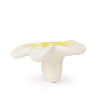 Oli & Carol - Mordedor Flor De Hawaii Oli&Carol