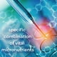 thumbnail image 3 of Suplemento Orthomol Immun Vial, suministro de 7 días con vitaminas y zinc, 3 of 3