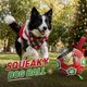 thumbnail image 4 of Pelota de Navidad QDAN 20 cm con Silbido y Correas – Regalo Navideño para Perro, 4 of 9