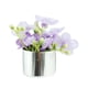 thumbnail image 4 of Maceta En Miniatura Para Casa De Muñecas, Modelo De Maceta Para Decoración De Casa De Muñecas, Flor Violeta Claro, 1/12, 4 of 5