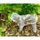 thumbnail image 5 of Poncho impermeable transparente con capucha para perros pequeños, ropa impermeable para cachorros y gatos., 5 of 7