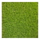 thumbnail image 1 of Pasto Sintetico 40mm  Rollo 2 x 5 Metros, 1 of 2