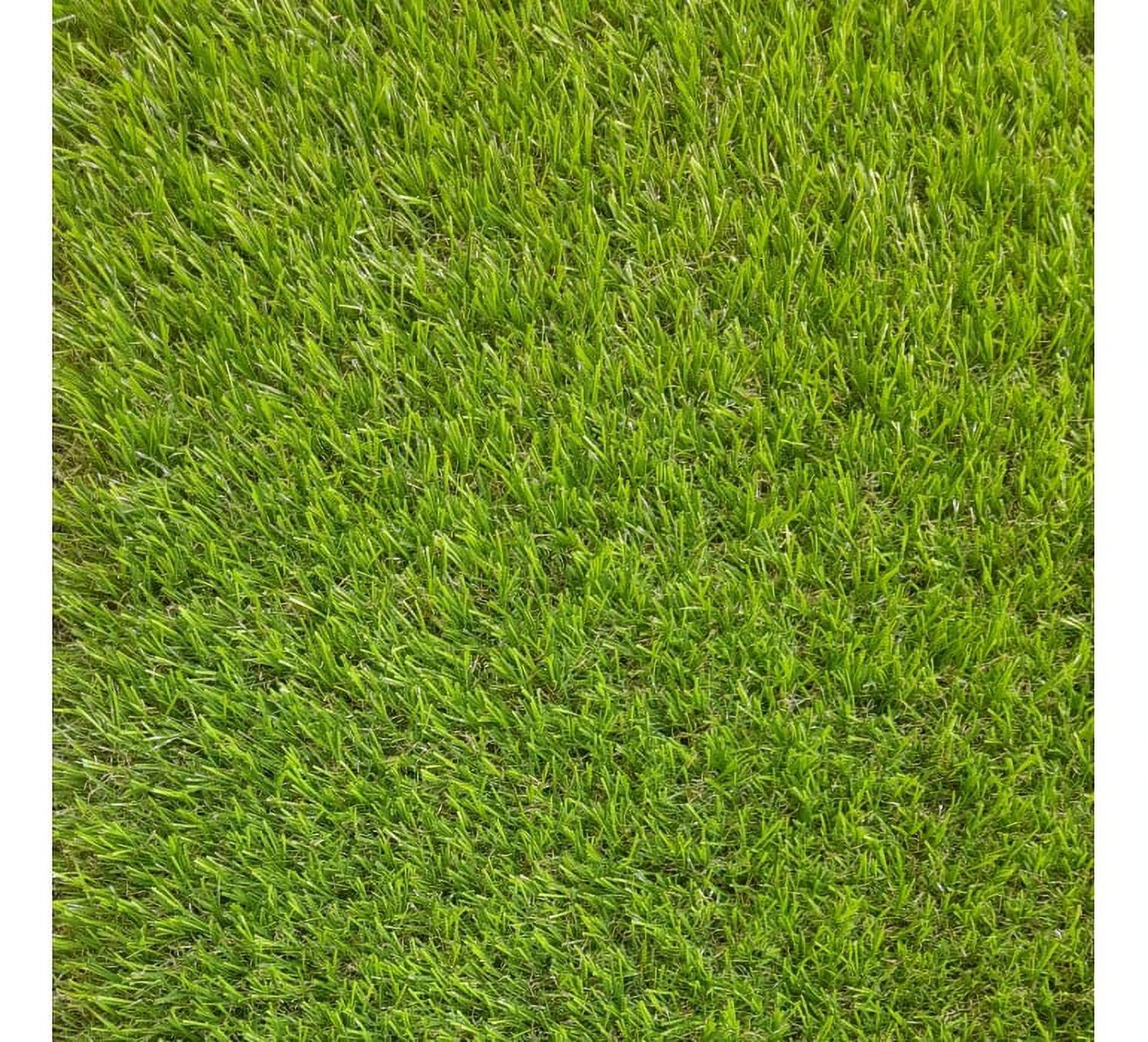 Signet - Pasto Sintetico 40Mm Rollo 2 X 5 Metros