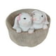 thumbnail image 1 of Maceta Decorativa De Conejito Para Jardín, Maceta De Animales Para Regalos De Amantes De La Yarda, 1 of 5