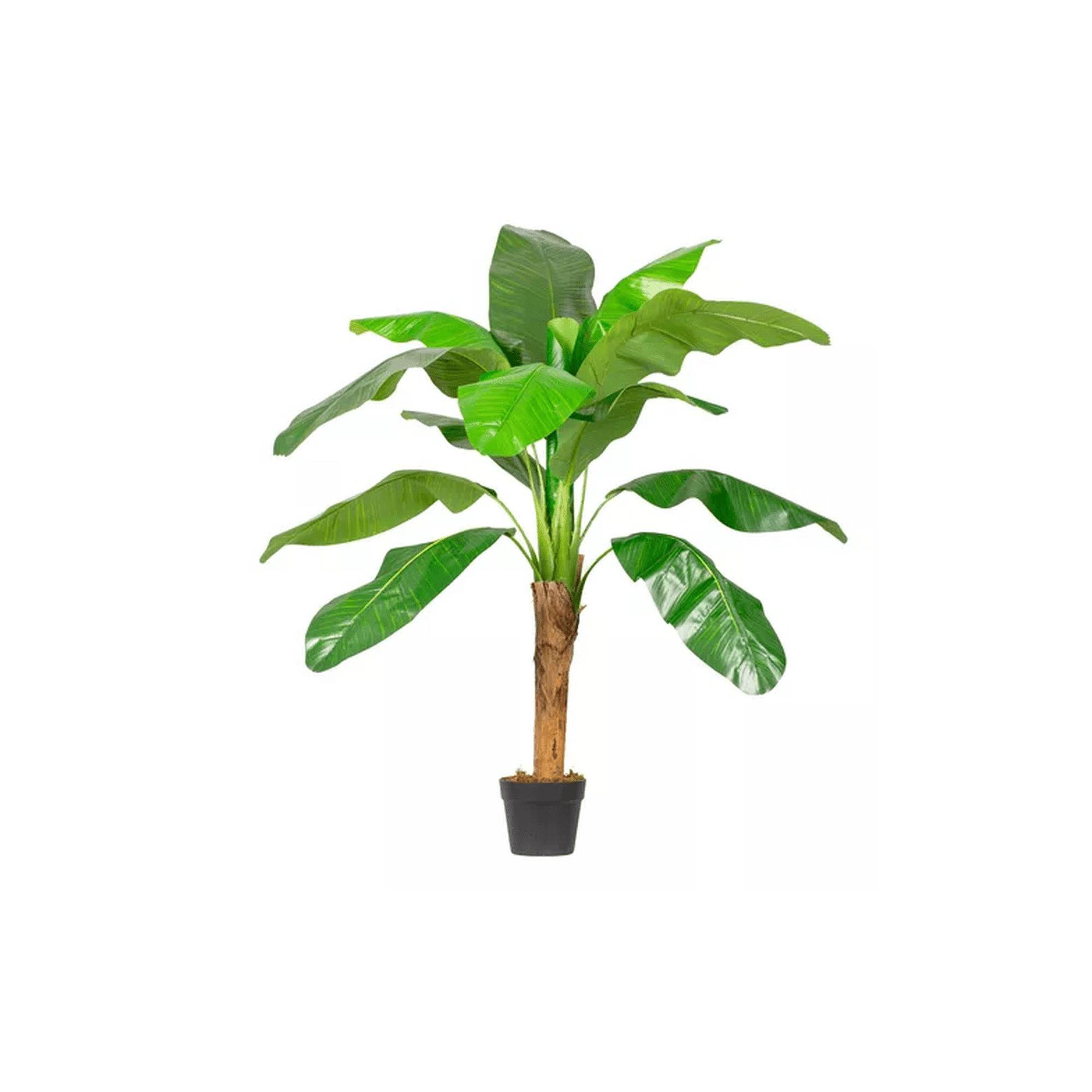 Genérico - Planta Artificial Banano 120cm Luxury 12 Hjs / Arbusto Real