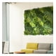 thumbnail image 3 of Jardin Vertical Multielemento, 3 of 3