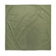 thumbnail image 4 of Lona Ligera Para Tienda De Campaña Impermeable Al Aire Libre Familiar 2x2m Verde, 4 of 5