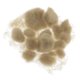 thumbnail image 4 of Artificial Grass Powder Model Building Decor DIY Accesorios Dry Yellow, 4 of 5