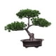 thumbnail image 5 of Planta De Maceta De árbol De Bienvenida Artificial Bonsai Versátil Para Hall Vestibule Style A, 5 of 6