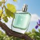 thumbnail image 2 of Perfume Caudalie Eau des Vignes, fragancia fresca, 50 ml, 2 of 5