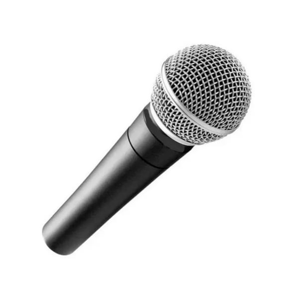 Microfono Vocal Profesional Sm58 Weisre