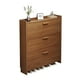 thumbnail image 1 of Zapatera Organizadora VTRIN, 1 of 2