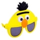 thumbnail image 1 of Gafas de sol para disfraces Sun-Staches Bert Sesame Street, 20 cm, UV400, 1 of 5