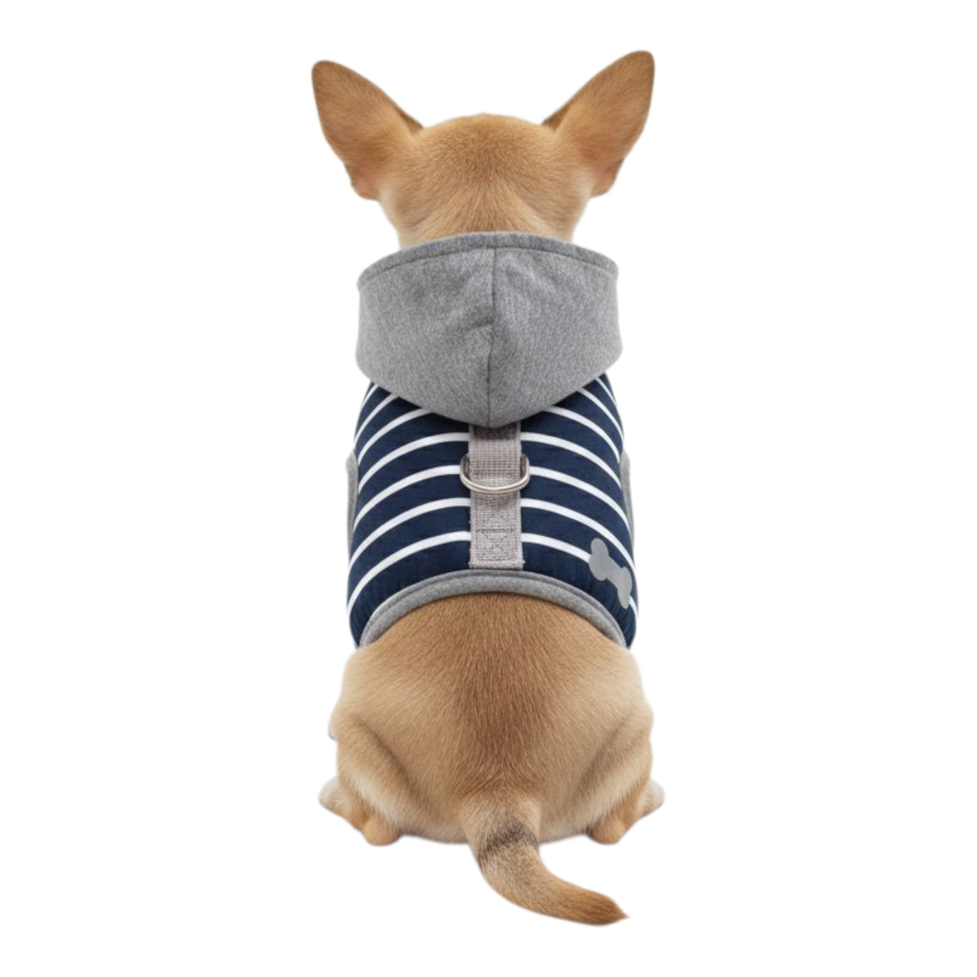 Arnes Mascotas Pequeñas Con Gorro Azul