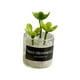 thumbnail image 3 of Mini Juguetes Para Casa De Muñecas Modelo De Paisaje Estático Modelado Mini Plantas Artificiales Estilo C, 3 of 5