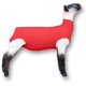 thumbnail image 1 of Tubo Protector para Cordero Showpro OUTFITTING CHAMPIONS Mediano Rojo, 1 of 6