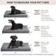 thumbnail image 5 of Cama ortopédica para perros WNPETHOME para perros grandes, impermeable, XL, 5 of 6