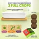 thumbnail image 3 of Kit de cultivo de microgreens ZESTIGREENS con maceta de cerámica, 3 of 7
