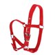 thumbnail image 1 of Correas de nylon ajustables Equitación Western Horse Halter Equitación Equitación Rojo S, 1 of 5