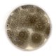 thumbnail image 2 of Placas de agar con extracto de malta (MEA) EZ BioResearch, 10 placas, 2 of 3