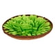 thumbnail image 2 of Mascota Perro Snuffle Mat Alfombra de alimentación para perros Interactivo Alimentos Rompecabezas Juguete Hierba Verde, 2 of 5