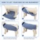 thumbnail image 5 of Traje de recuperación para perros PELUKOA, camiseta quirúrgica suave, azul, XXL, 5 of 7