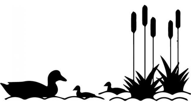 Rienda Libre Graphics - Decomural Duck Pond Scene Ws-32679