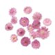 thumbnail image 5 of 10x Hojas Secas De Flores Prensadas Y Secas Para Manualidades DIY, Marcapáginas, Fabricación De Tarjetas 02, 5 of 5